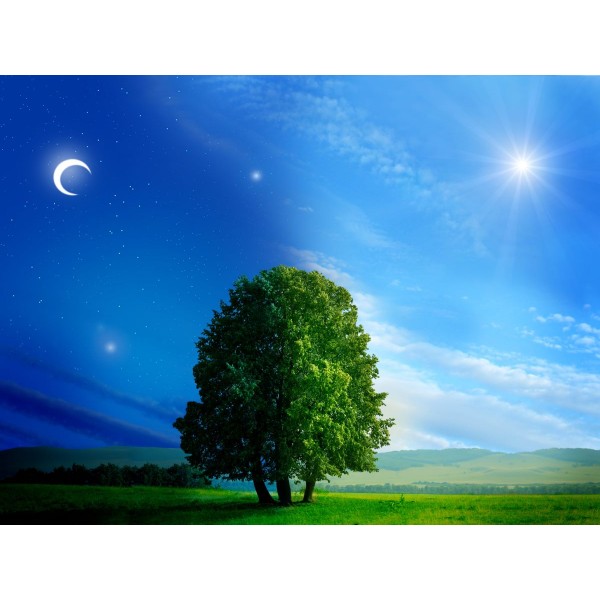 Albero 5d Diy Kit Diamond Painting Pittura Di Diamante NO1757