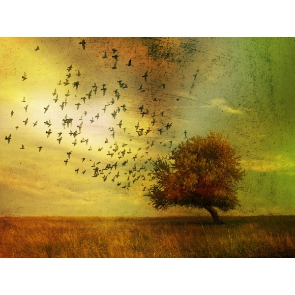 Albero 5d Diy Kit Diamond Painting Pittura Di Diamante NO1755