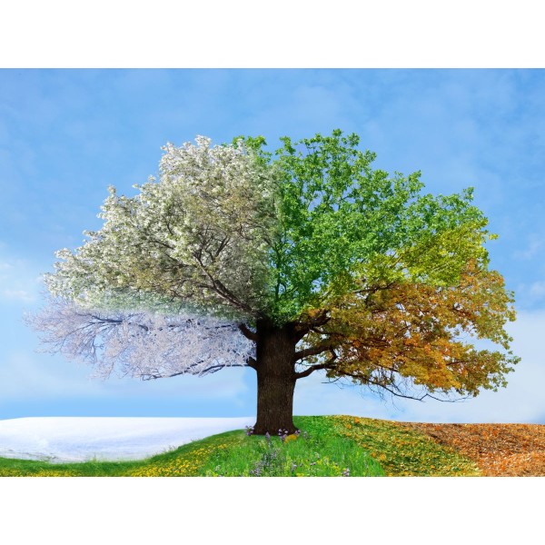 Albero 5d Diy Kit Diamond Painting Pittura Di Diamante NO1752