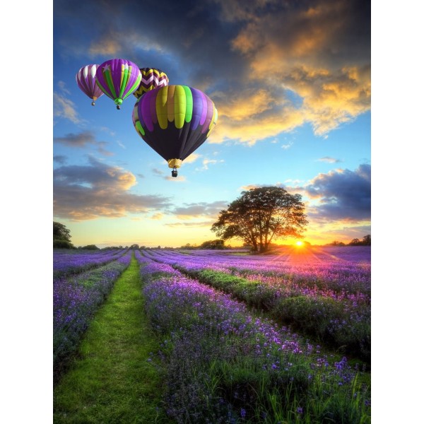 Palloncino 5d Diy Kit Diamond Painting Pittura Di Diamante NO1683