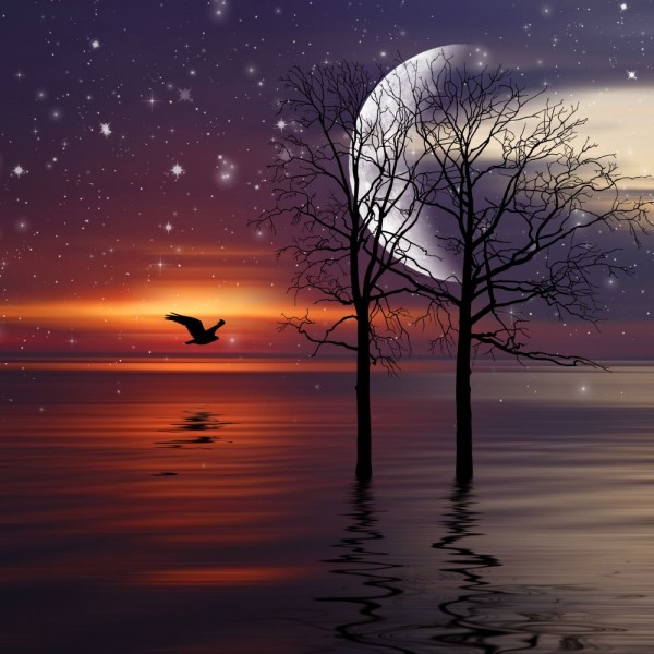 Natura 5d Diy Kit Diamond Painting Pittura Di Diamante NO1677