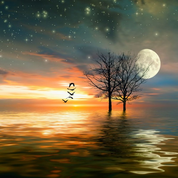 Natura 5d Diy Kit Diamond Painting Pittura Di Diamante NO1676