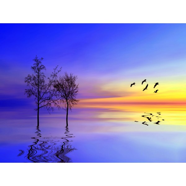 Natura 5d Diy Kit Diamond Painting Pittura Di Diamante NO1671