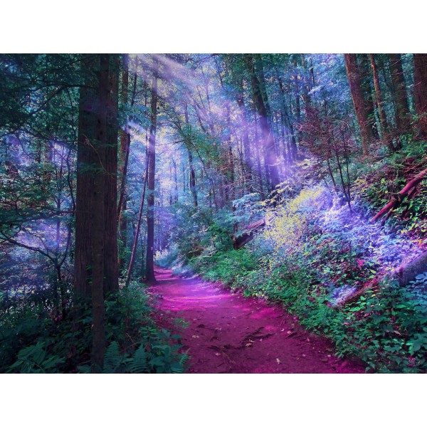 Natura 5d Diy Kit Diamond Painting Pittura Di Diamante NO1665