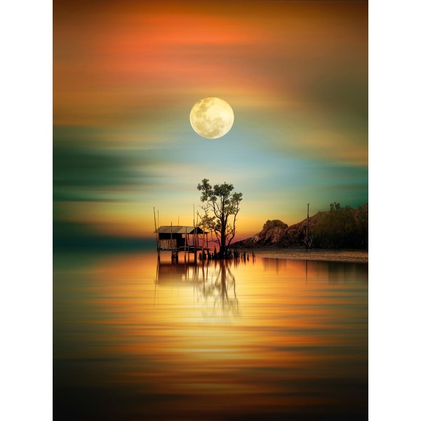 Natura 5d Diy Kit Diamond Painting Pittura Di Diamante NO1664