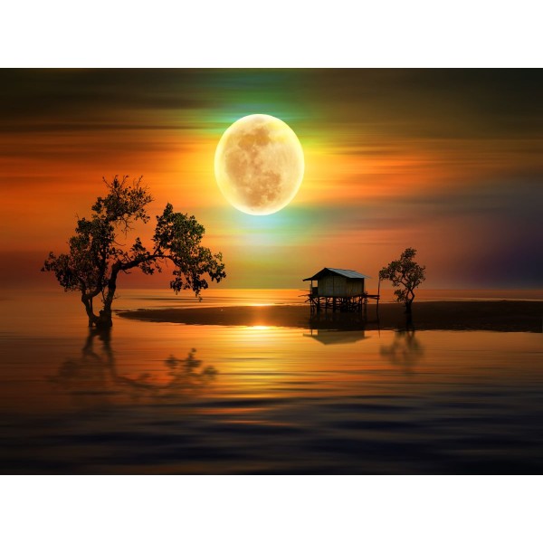 Natura 5d Diy Kit Diamond Painting Pittura Di Diamante NO1663