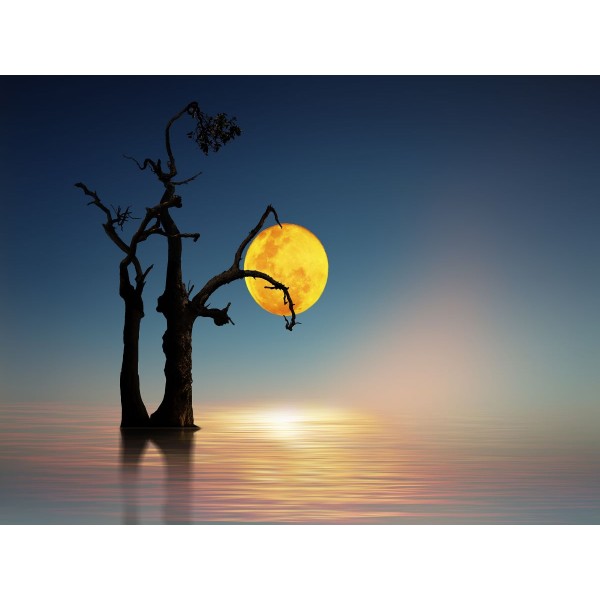 Natura 5d Diy Kit Diamond Painting Pittura Di Diamante NO1660