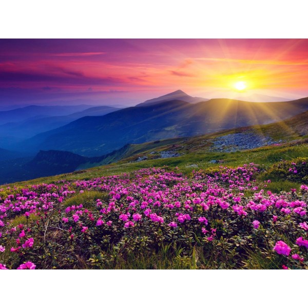 Natura 5d Diy Kit Diamond Painting Pittura Di Diamante NO1659