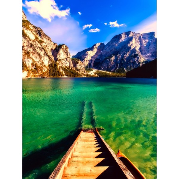 Natura 5d Diy Kit Diamond Painting Pittura Di Diamante NO1654