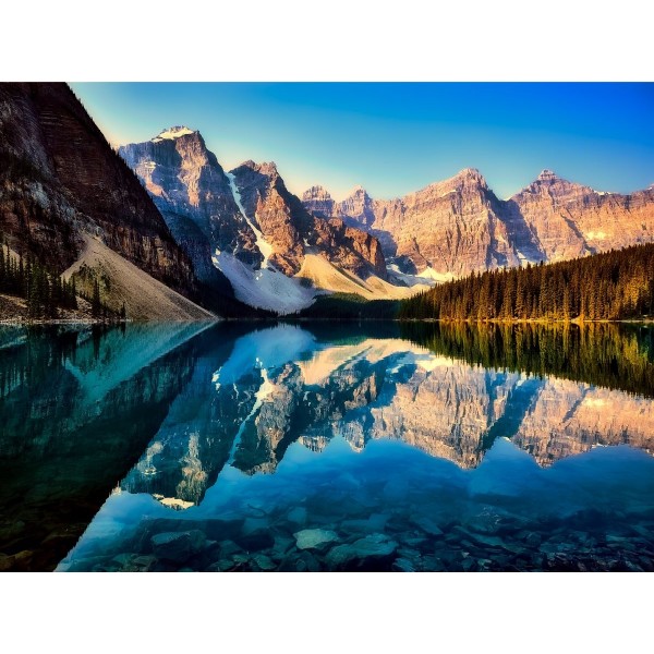 Natura 5d Diy Kit Diamond Painting Pittura Di Diamante NO1653