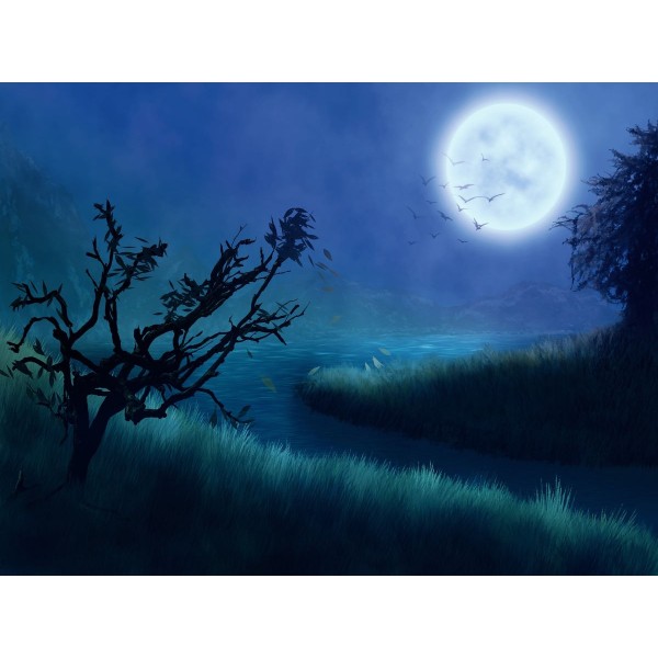 Natura 5d Diy Kit Diamond Painting Pittura Di Diamante NO1651