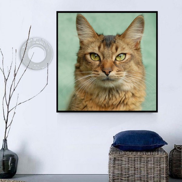 Gatto 5d Diy Kit Diamond Painting Pittura Di Diamante NO1648