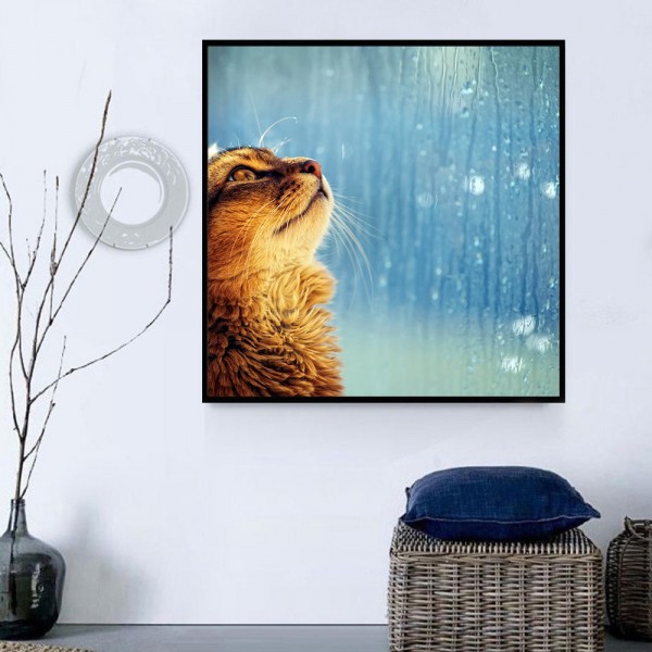 Gatto 5d Diy Kit Diamond Painting Pittura Di Diamante NO1646