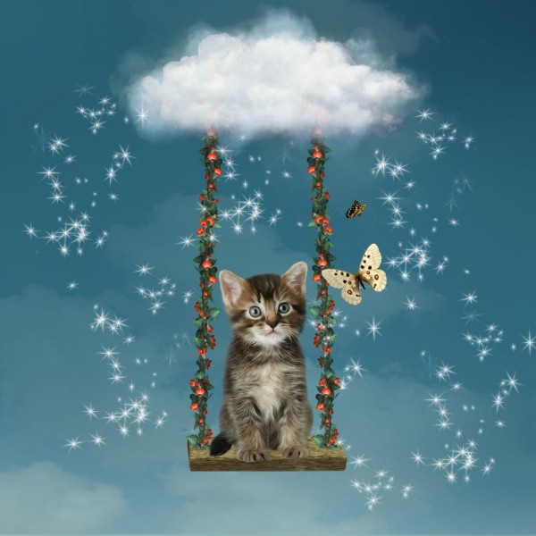 Gatto 5d Diy Kit Diamond Painting Pittura Di Diamante NO1644