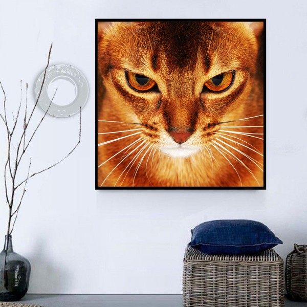Gatto 5d Diy Kit Diamond Painting Pittura Di Diamante NO1643