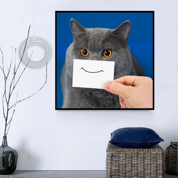 Gatto 5d Diy Kit Diamond Painting Pittura Di Diamante NO1642