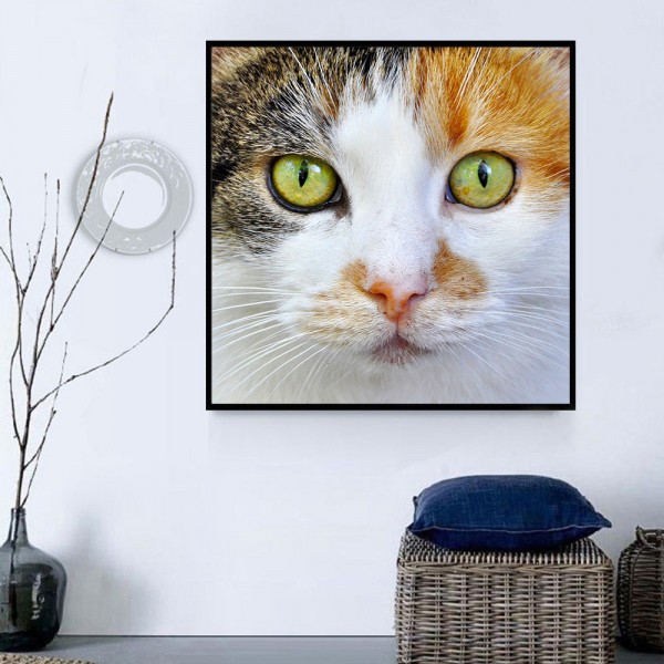 Gatto 5d Diy Kit Diamond Painting Pittura Di Diamante NO1636
