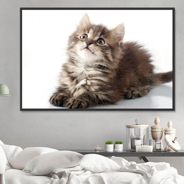 Gatto 5d Diy Kit Diamond Painting Pittura Di Diamante NO1629