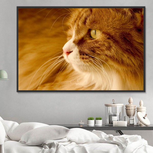 Gatto 5d Diy Kit Diamond Painting Pittura Di Diamante NO1628