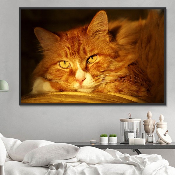 Gatto 5d Diy Kit Diamond Painting Pittura Di Diamante NO1627