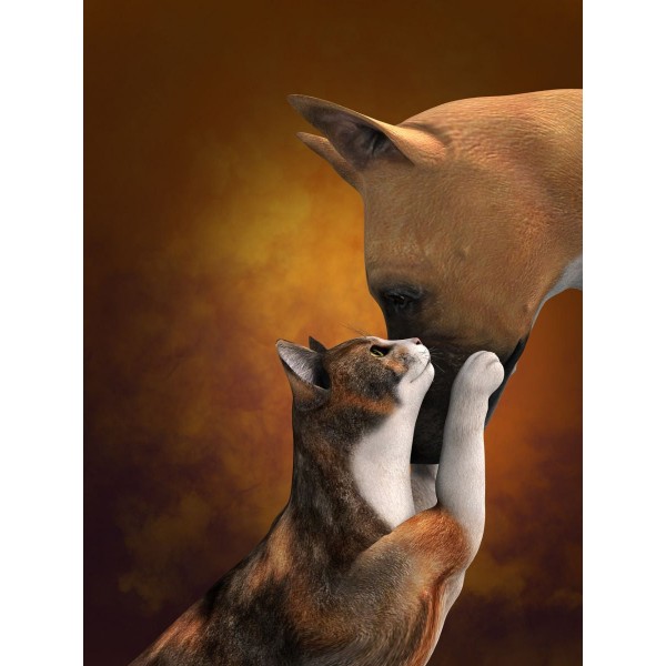 Gatto 5d Diy Kit Diamond Painting Pittura Di Diamante NO1623