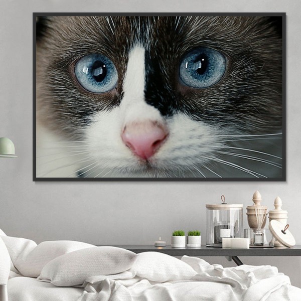 Gatto 5d Diy Kit Diamond Painting Pittura Di Diamante NO1621