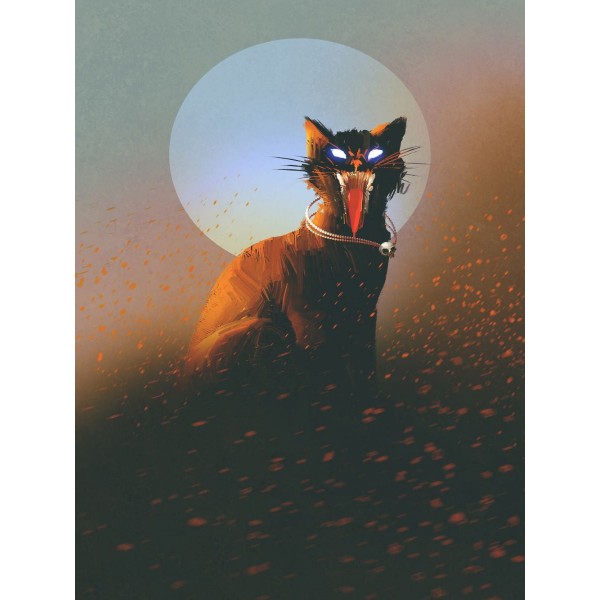 Gatto 5d Diy Kit Diamond Painting Pittura Di Diamante NO1617