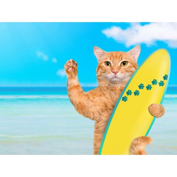 Gatto 5d Diy Kit Diamond Painting Pittura Di Diamante NO1616