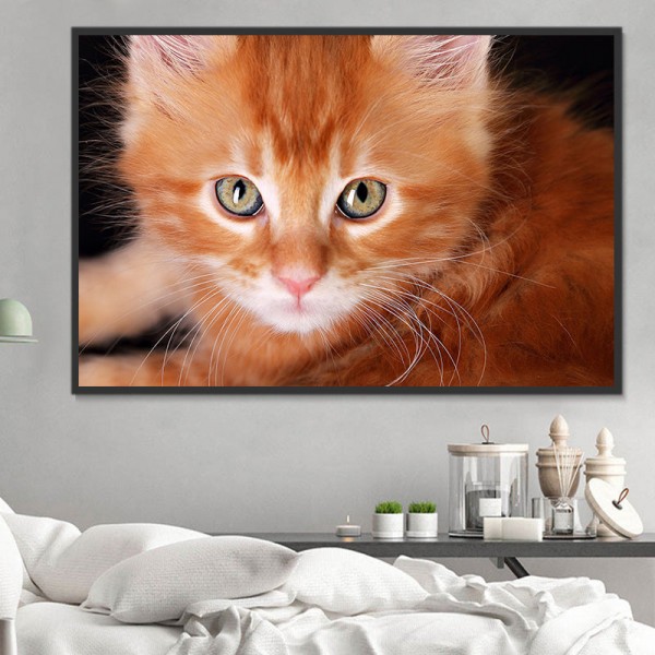 Gatto 5d Diy Kit Diamond Painting Pittura Di Diamante NO1613