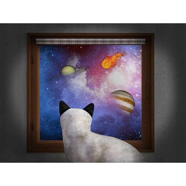 Gatto 5d Diy Kit Diamond Painting Pittura Di Diamante NO1605