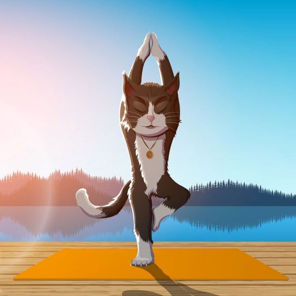 Gatto 5d Diy Kit Diamond Painting Pittura Di Diamante NO1603