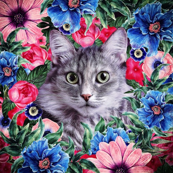 Gatto 5d Diy Kit Diamond Painting Pittura Di Diamante NO1599