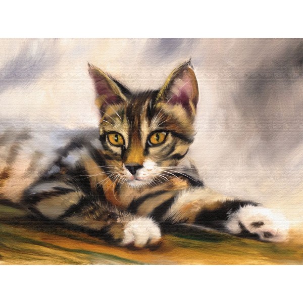 Gatto 5d Diy Kit Diamond Painting Pittura Di Diamante NO1595
