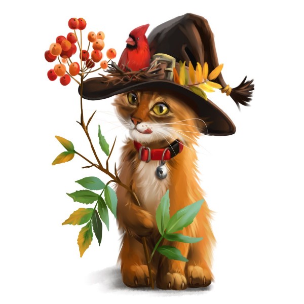 Gatto 5d Diy Kit Diamond Painting Pittura Di Diamante NO1591