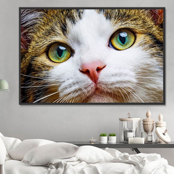 Gatto 5d Diy Kit Diamond Painting Pittura Di Diamante NO1587