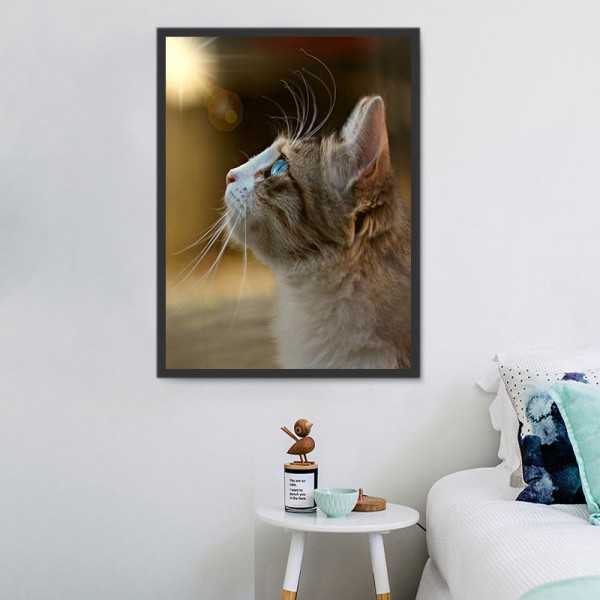 Gatto 5d Diy Kit Diamond Painting Pittura Di Diamante NO1571