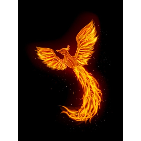 Fenice 5d Diy Kit Diamond Painting Pittura Di Diamante NO1567