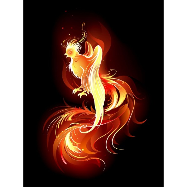 Fenice 5d Diy Kit Diamond Painting Pittura Di Diamante NO1566
