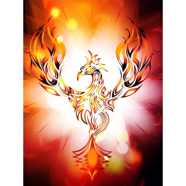 Fenice 5d Diy Kit Diamond Painting Pittura Di Diamante NO1560