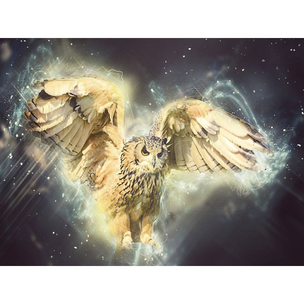 Gufo 5d Diy Kit Diamond Painting Pittura Di Diamante NO1553