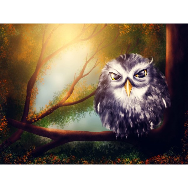 Gufo 5d Diy Kit Diamond Painting Pittura Di Diamante NO1550