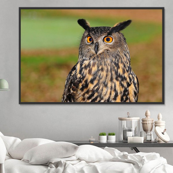 Gufo 5d Diy Kit Diamond Painting Pittura Di Diamante NO1549