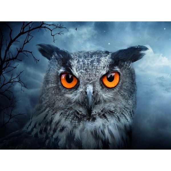 Gufo 5d Diy Kit Diamond Painting Pittura Di Diamante NO1546