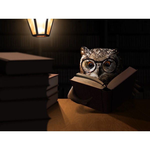 Gufo 5d Diy Kit Diamond Painting Pittura Di Diamante NO1538