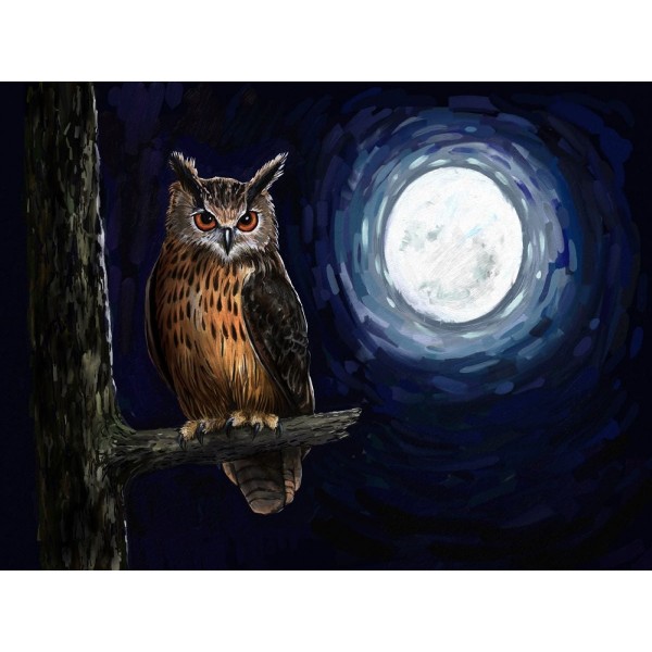 Gufo 5d Diy Kit Diamond Painting Pittura Di Diamante NO1531