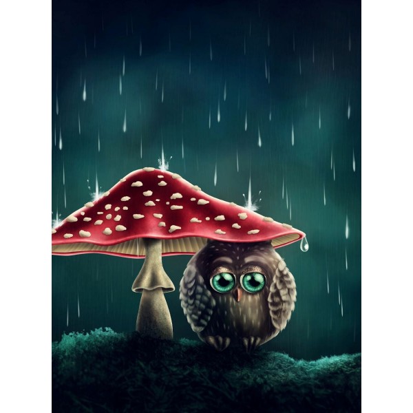 Gufo 5d Diy Kit Diamond Painting Pittura Di Diamante NO1530