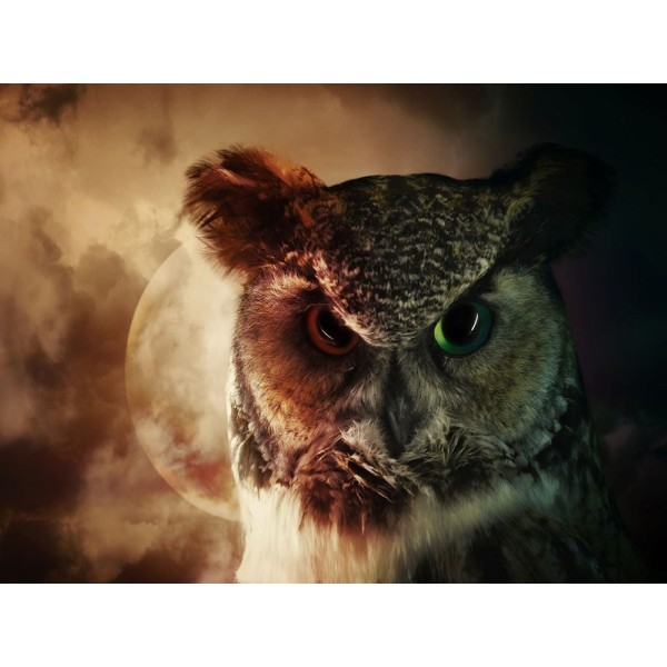 Gufo 5d Diy Kit Diamond Painting Pittura Di Diamante NO1528