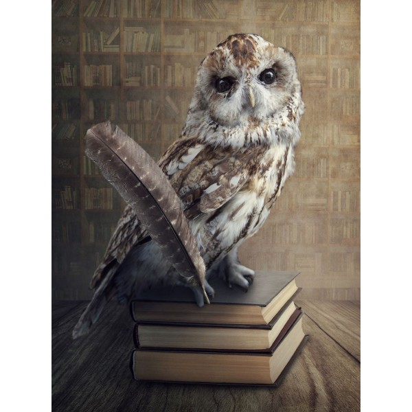 Gufo 5d Diy Kit Diamond Painting Pittura Di Diamante NO1525