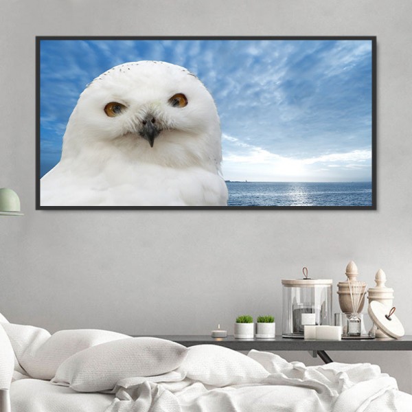 Gufo 5d Diy Kit Diamond Painting Pittura Di Diamante NO1521