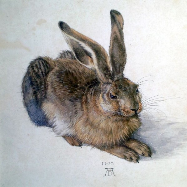 Coniglio 5d Diy Kit Diamond Painting Pittura Di Diamante NO1489